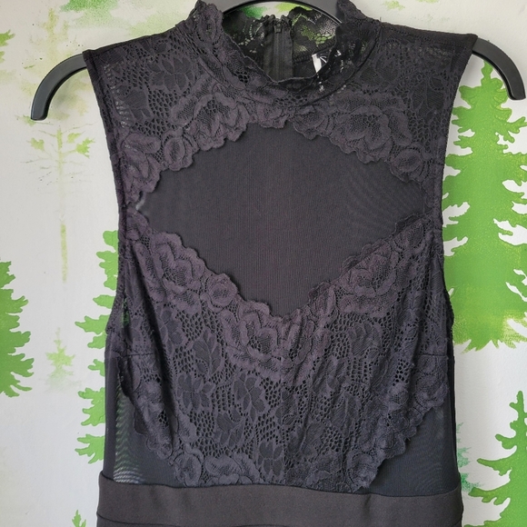 Windsor Sleeveless Sheer Lace Dress. - Picture 3 of 9